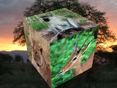 Photocube sample by 3dthis