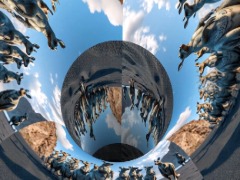 Kangourou quantique  by Philipperivrain