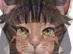 Cat to catgirl by BogDog999