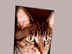 Geronimo  by Jaglabelle