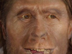 Homo Sapiens by Edubytech