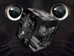 CUBE-70 by Jollygood