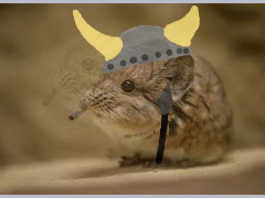 Viking Shrew by TerryBudkin