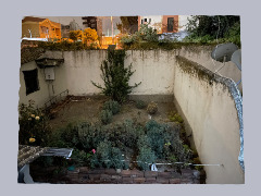 Backyard by PaxilTramal
