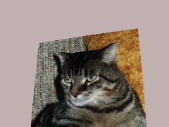 Geronimo by Jaglabelle