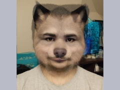 AI Wolf Morph 5 by Morphwolf34