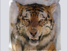 Tiger to Wolf by Shinryu1