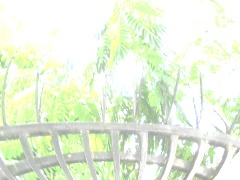 초원이다!!! by 5nong