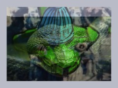 Vatican to snake by DavidTinder
