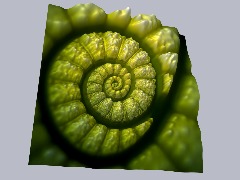 Hoja by Jhuliza