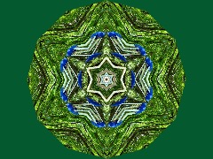 Justaladder by Freeranger