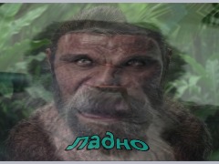 Monkey by Damage Monkey by Damage