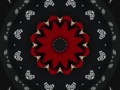 Surat by Pircuut