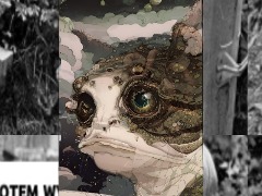 Frog by AnJahYa