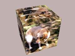 Brandy 2013 2025 by Jaglabelle