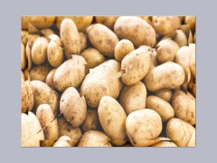 Bbcbv;iouhbkkjhbbhkjknhb by Bbv232scartch