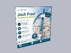 Buy Jack Frost Mushroom Spores for Microscopy Research Online by Qualitysporeonline
