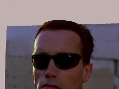 The Terminator by Vonnydj