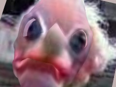 Ratafak Platcha Recording by JNPGAMERBOY9434