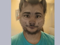 AI Wolf Morph 18 by Morphwolf34