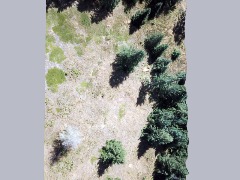 Stereo  by Fhisguiorepiofew