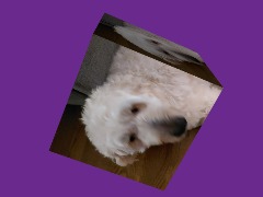 Doggy by AKSENTISLOVER67