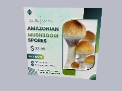 Best Amazonian Mushroom Spores for Scientific Research  by Qualitysporeonline