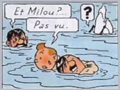Tintin Sauve Hitler De La Noyade by Gobbo