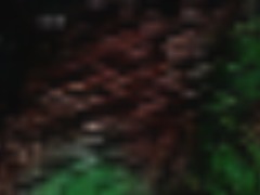 Spirits In Window by Omran2016