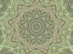 Bkpbvioh by Pircuut Bkpbvioh by Pircuut