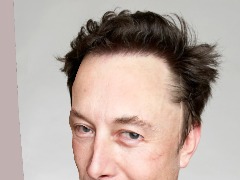 Elon Musk by Vonnydj