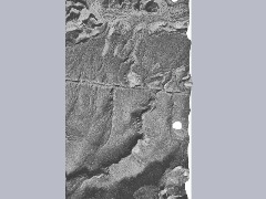 Rightleft by Aayanwale