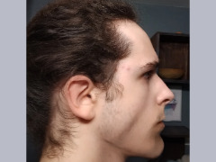 Fixed profile by Reptiles