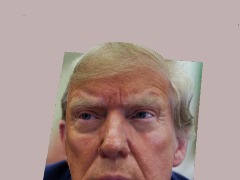 Trump by Edmadrigal