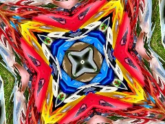 See Which Have  by Pircuut
