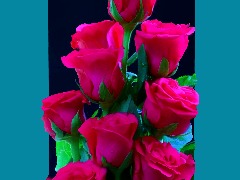 Primul buchet by Zinaida
