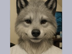 Another AI Wolf Morph by Morphwolf34